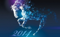 С Новым 2014 Годом!!!